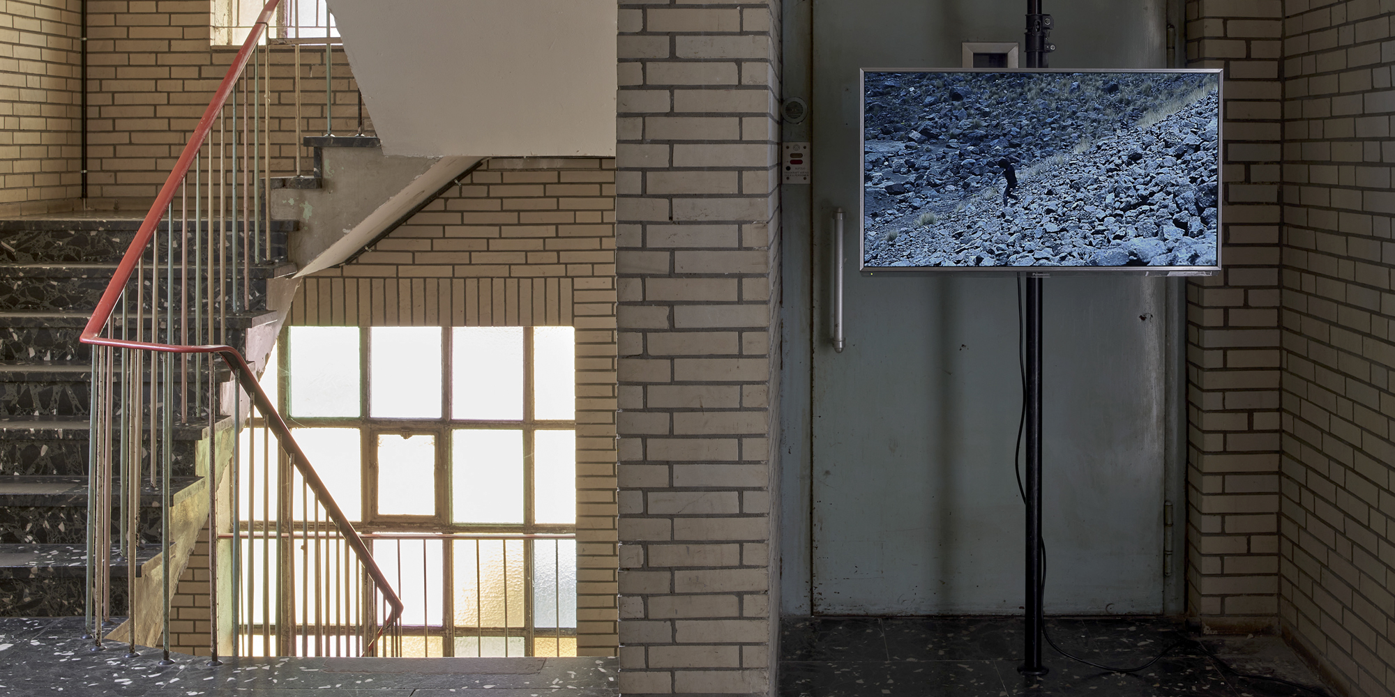VIER - Rolf Appelbaum, Antonio Bravo Avendaño, Tania Ximena, Tino Kukulies