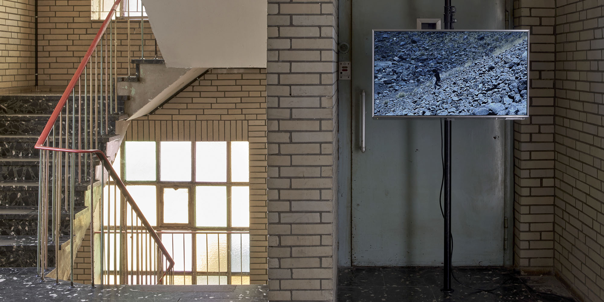 VIER - Rolf Appelbaum, Antonio Bravo Avendaño, Tania Ximena, Tino Kukulies