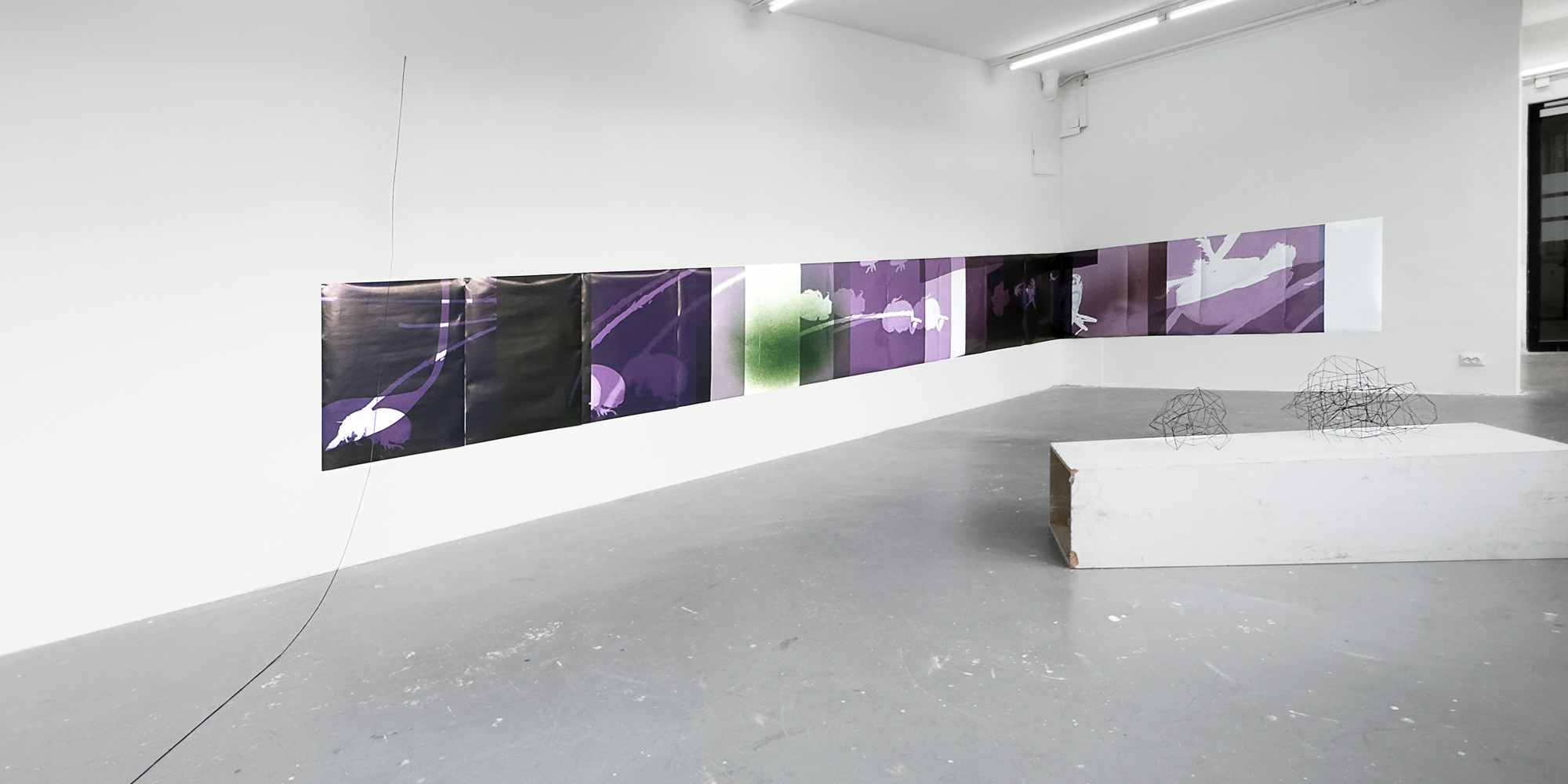 Martin Jenne - Irene Weingartner, Ausstellung im space-o, September 2025