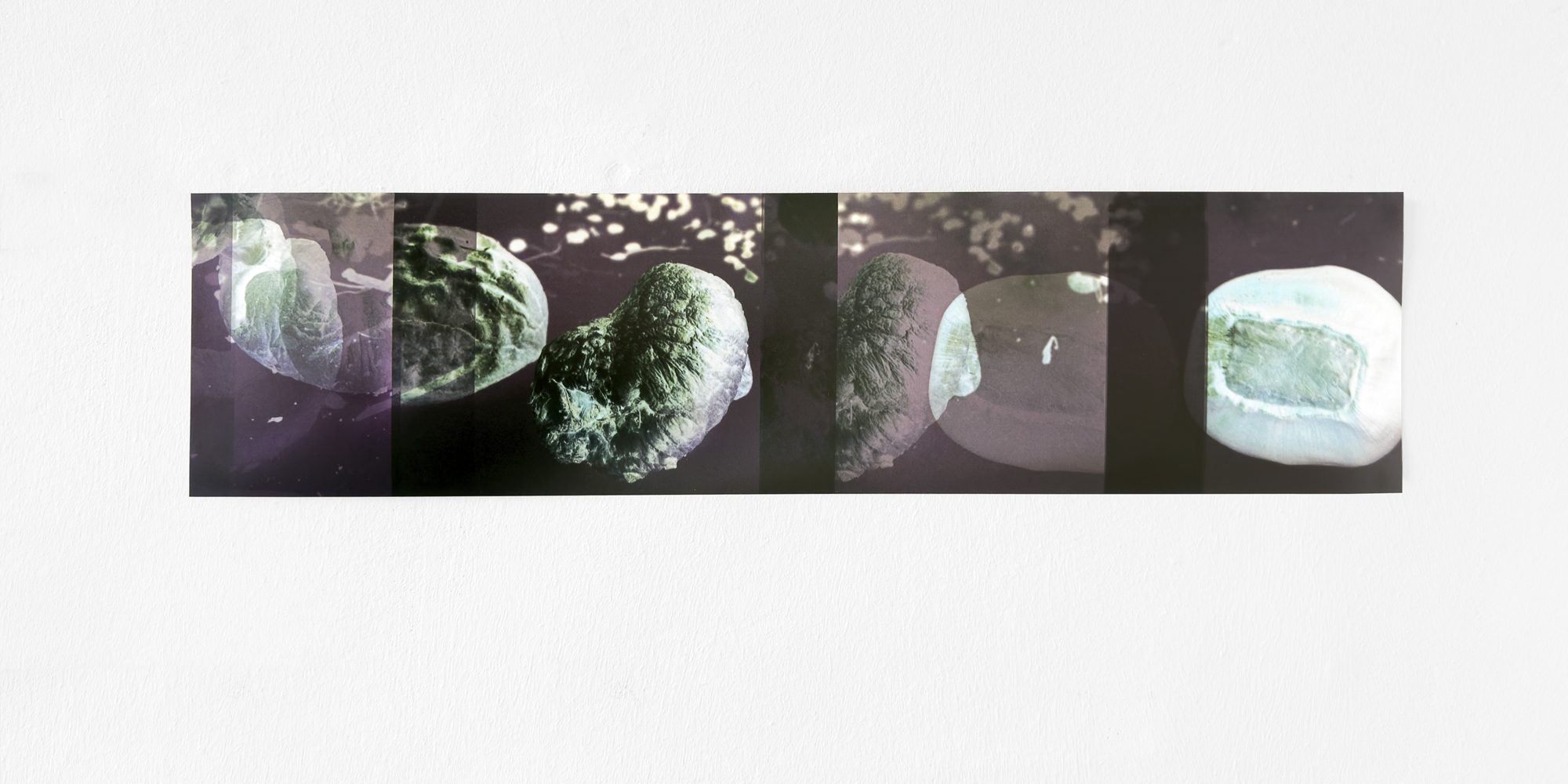 Martin Jenne - Irene Weingartner, Ausstellung im space-o, September 2025