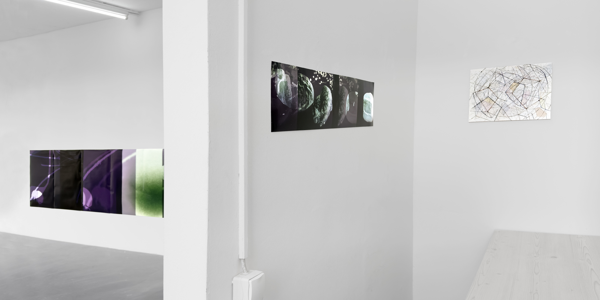 Martin Jenne - Irene Weingartner, Ausstellung im space-o, September 2025